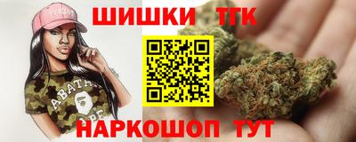 молекула духа Камышлов