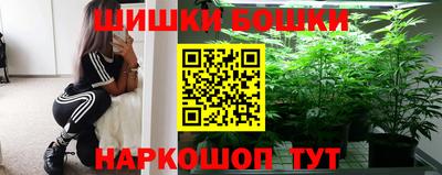 молекула духа Камышлов