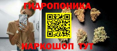 молекула духа Канаш