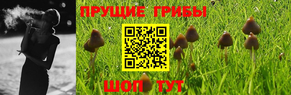 Галлюциногенные грибы Cubensis  Вход с VPN  где купить наркоту  Кулебаки 